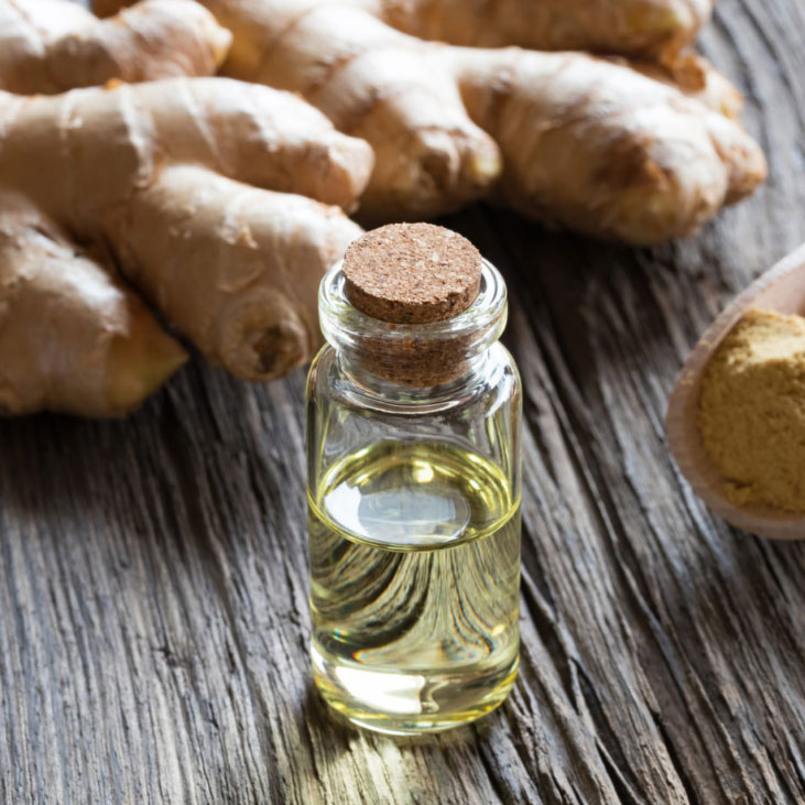 Miracle Moisturizer Ingredient - Ginger Root Extract